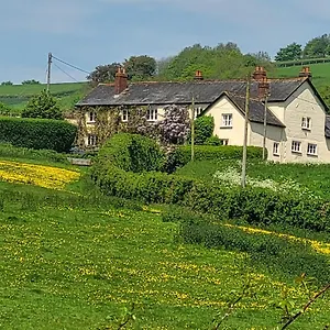 Beautiful Devon , Exeter United Kingdom
